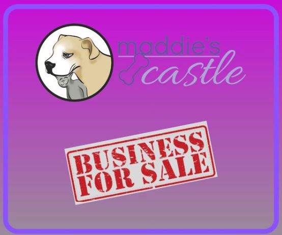 Local Pet Shop 'Maddie’s Castle' Up for Sale, Owners Hope to Keep the Legacy Alive